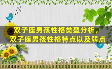 双子座男孩性格类型分析，双子座男孩性格特点以及弱点