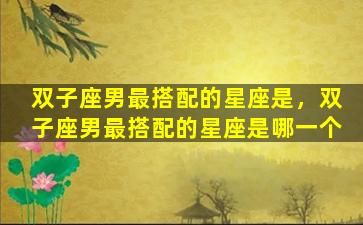 双子座男最搭配的星座是，双子座男最搭配的星座是哪一个