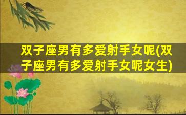 双子座男有多爱射手女呢(双子座男有多爱射手女呢女生)