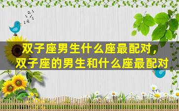 双子座男生什么座最配对，双子座的男生和什么座最配对