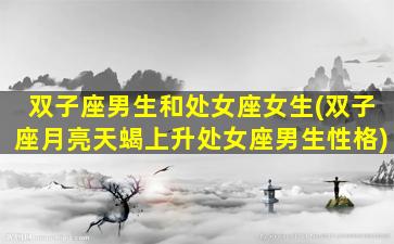 双子座男生和处女座女生(双子座月亮天蝎上升处女座男生性格)