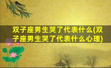 双子座男生哭了代表什么(双子座男生哭了代表什么心理)