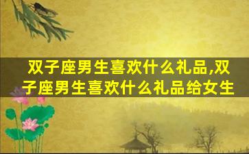 双子座男生喜欢什么礼品,双子座男生喜欢什么礼品给女生