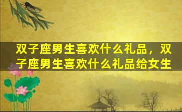 双子座男生喜欢什么礼品，双子座男生喜欢什么礼品给女生