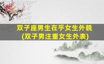 双子座男生在乎女生外貌(双子男注重女生外表)