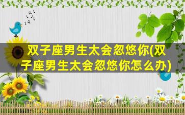 双子座男生太会忽悠你(双子座男生太会忽悠你怎么办)
