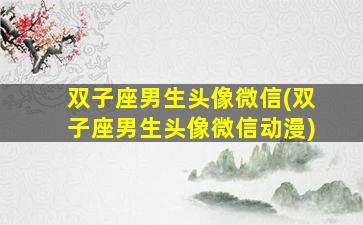 双子座男生头像微信(双子座男生头像微信动漫)