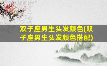 双子座男生头发颜色(双子座男生头发颜色搭配)