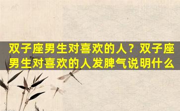 双子座男生对喜欢的人？双子座男生对喜欢的人发脾气说明什么