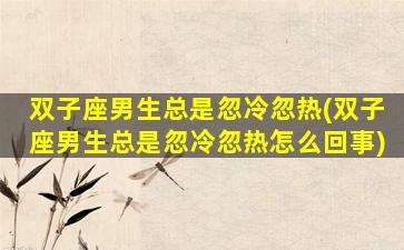 双子座男生总是忽冷忽热(双子座男生总是忽冷忽热怎么回事)