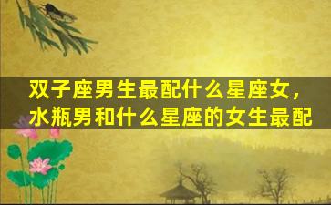 双子座男生最配什么星座女，水瓶男和什么星座的女生最配