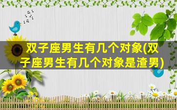 双子座男生有几个对象(双子座男生有几个对象是渣男)