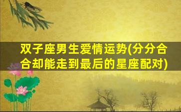 双子座男生爱情运势(分分合合却能走到最后的星座配对)