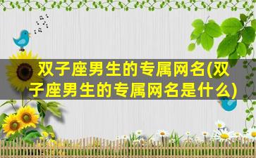 双子座男生的专属网名(双子座男生的专属网名是什么)