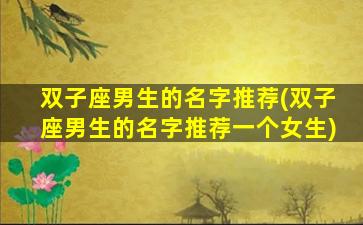 双子座男生的名字推荐(双子座男生的名字推荐一个女生)