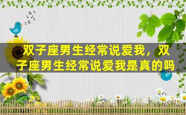 双子座男生经常说爱我，双子座男生经常说爱我是真的吗