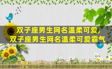 双子座男生网名温柔可爱,双子座男生网名温柔可爱霸气