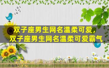 双子座男生网名温柔可爱，双子座男生网名温柔可爱霸气