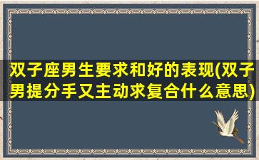 双子座男生要求和好的表现(双子男提分手又主动求复合什么意思)