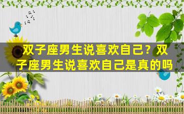 双子座男生说喜欢自己？双子座男生说喜欢自己是真的吗