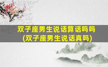 双子座男生说话算话吗吗(双子座男生说话真吗)