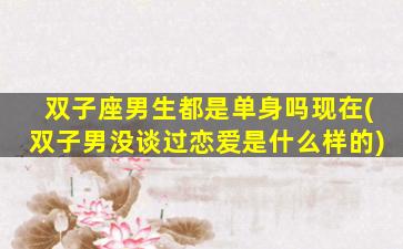 双子座男生都是单身吗现在(双子男没谈过恋爱是什么样的)