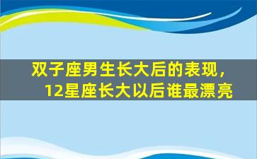 双子座男生长大后的表现，12星座长大以后谁最漂亮