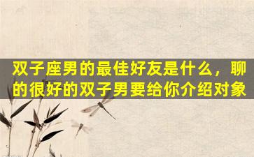 双子座男的最佳好友是什么，聊的很好的双子男要给你介绍对象