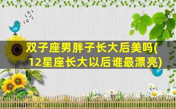 双子座男胖子长大后美吗(12星座长大以后谁最漂亮)