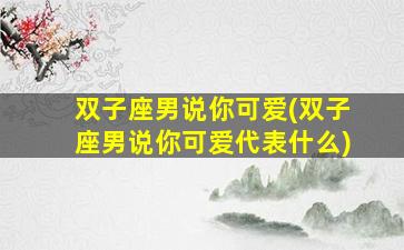 双子座男说你可爱(双子座男说你可爱代表什么)