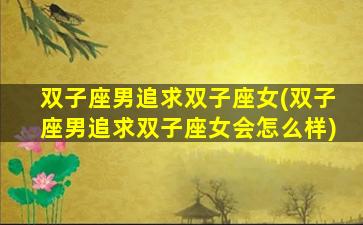 双子座男追求双子座女(双子座男追求双子座女会怎么样)