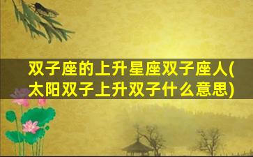 双子座的上升星座双子座人(太阳双子上升双子什么意思)
