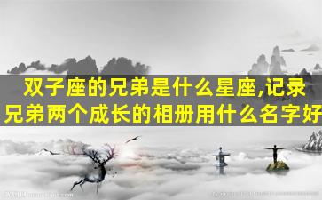 双子座的兄弟是什么星座,记录兄弟两个成长的相册用什么名字好