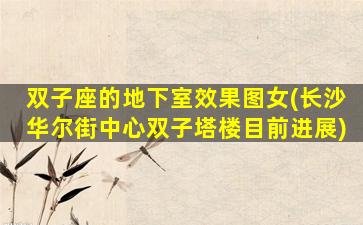 双子座的地下室效果图女(长沙华尔街中心双子塔楼目前进展)