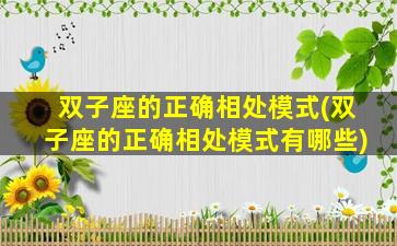 双子座的正确相处模式(双子座的正确相处模式有哪些)