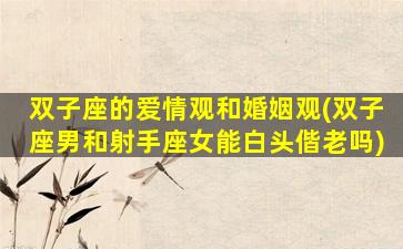 双子座的爱情观和婚姻观(双子座男和射手座女能白头偕老吗)
