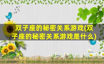 双子座的秘密关系游戏(双子座的秘密关系游戏是什么)