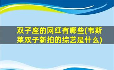 双子座的网红有哪些(韦斯莱双子新拍的综艺是什么)