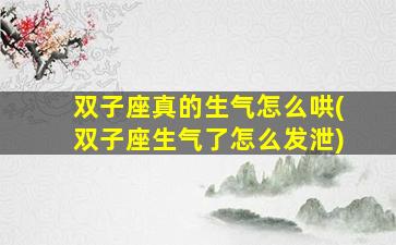 双子座真的生气怎么哄(双子座生气了怎么发泄)