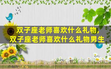 双子座老师喜欢什么礼物,双子座老师喜欢什么礼物男生