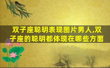 双子座聪明表现图片男人,双子座的聪明都体现在哪些方面
