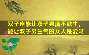 双子座能让双子男痛不欲生，能让双子男生气的女人是爱吗