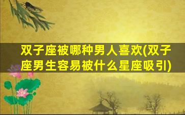 双子座被哪种男人喜欢(双子座男生容易被什么星座吸引)