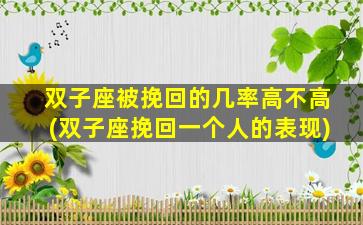 双子座被挽回的几率高不高(双子座挽回一个人的表现)