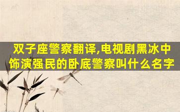 双子座警察翻译,电视剧黑冰中饰演强民的卧底警察叫什么名字