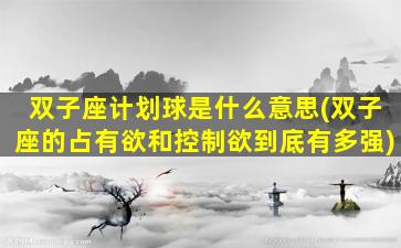 双子座计划球是什么意思(双子座的占有欲和控制欲到底有多强)