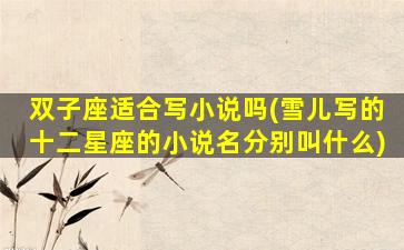 双子座适合写小说吗(雪儿写的十二星座的小说名分别叫什么)