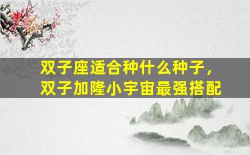 双子座适合种什么种子，双子加隆小宇宙最强搭配
