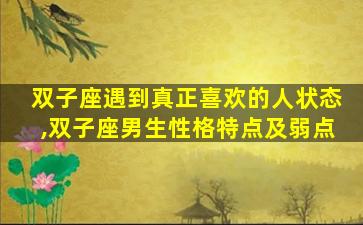 双子座遇到真正喜欢的人状态,双子座男生性格特点及弱点