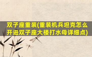 双子座重装(重装机兵坦克怎么开进双子座大楼打水母详细点)